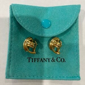 A gorgeous pair of earrings from famed maker Tiffany & Co.!
